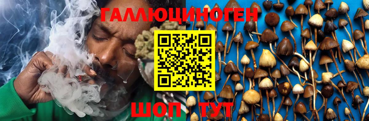 Псилоцибиновые грибы мухоморы Нефтекумск