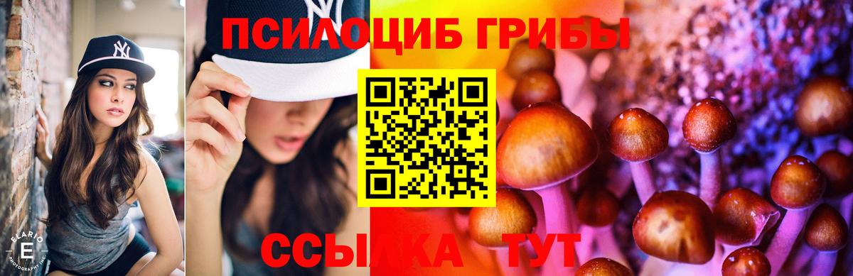 Галлюциногенные грибы Psilocybine cubensis  Псилоцибиновые грибы Psilocybine cubensis  Вход с VPN  Нефтекумск 
